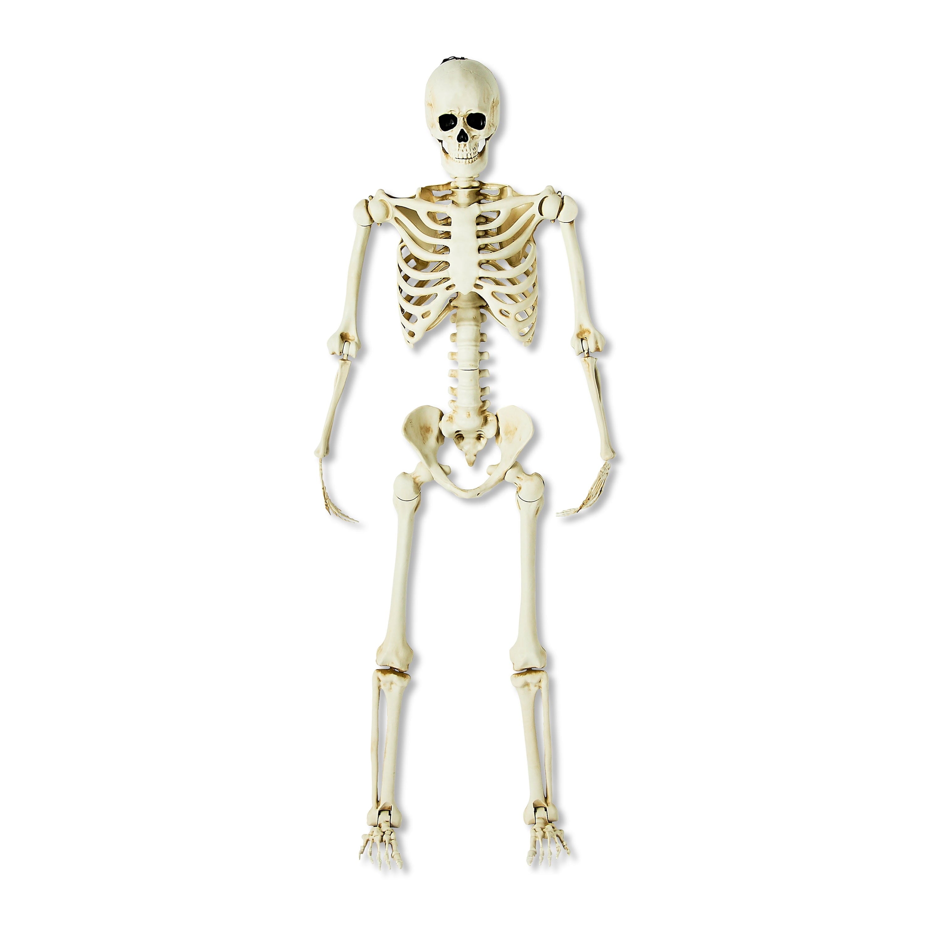 Hanging Posable Skeleton Decoration, White, 5', Halloween