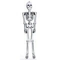 6' Inflatable Skeleton Halloween Party Decoration
