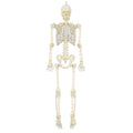 5-foot Poseable LED Illuminated Skeleton, Halloween Decoration