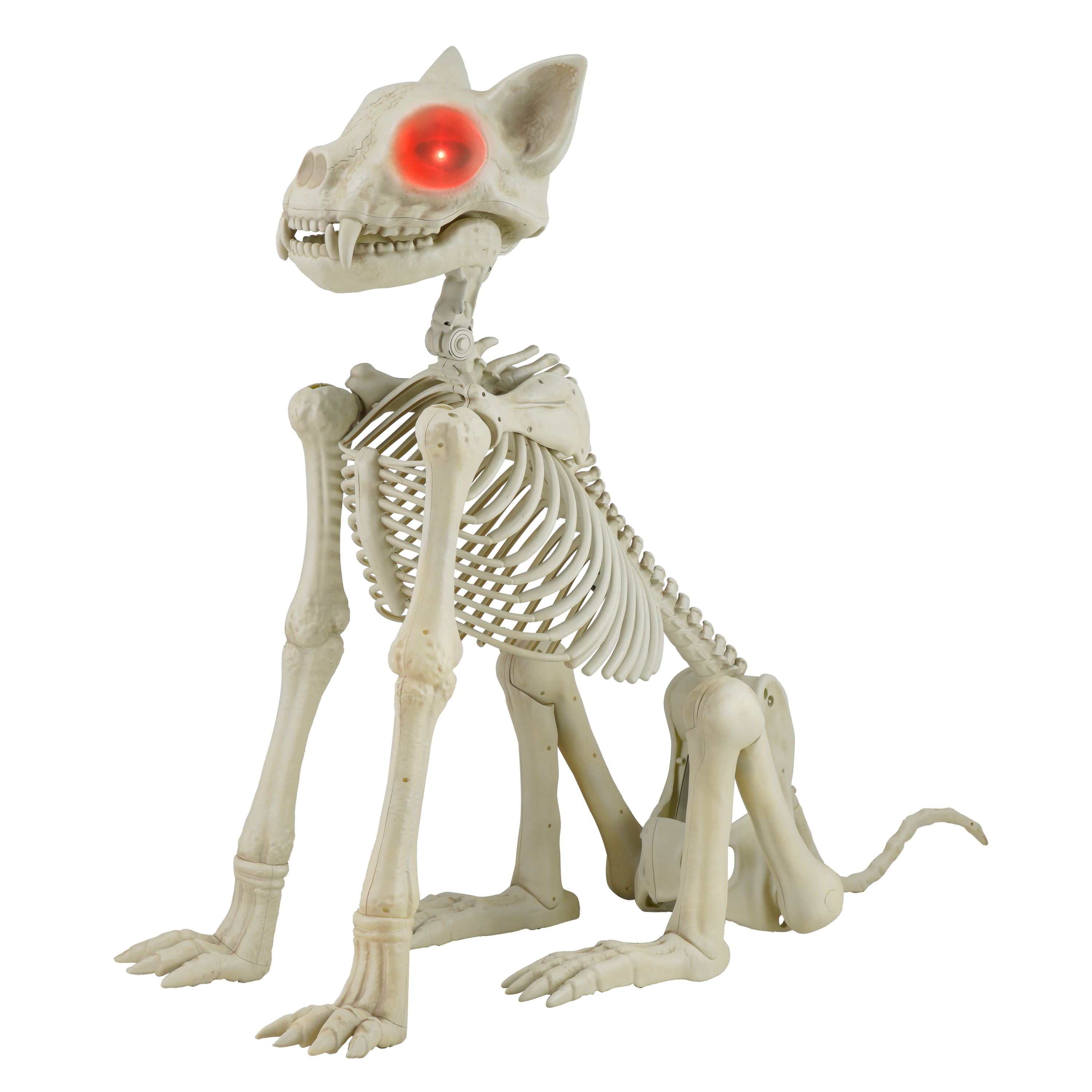 Beige Plastic Animated Skeleton Cat, 60-inch, Halloween Decoration